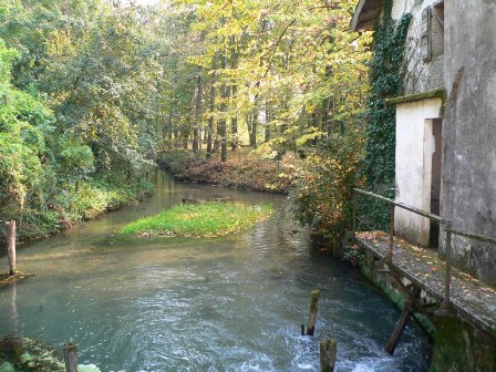 Il fiume Lemene