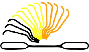 Logo ccm